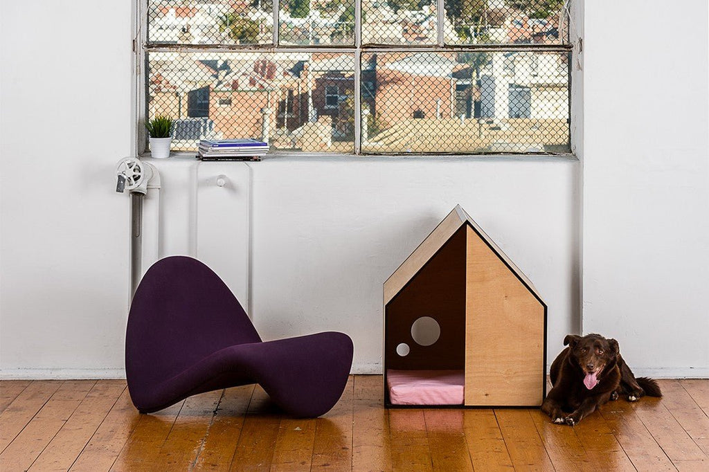 Architecture Meets Dog Room | The Outcome - House Of Pets Delight (HOPD)