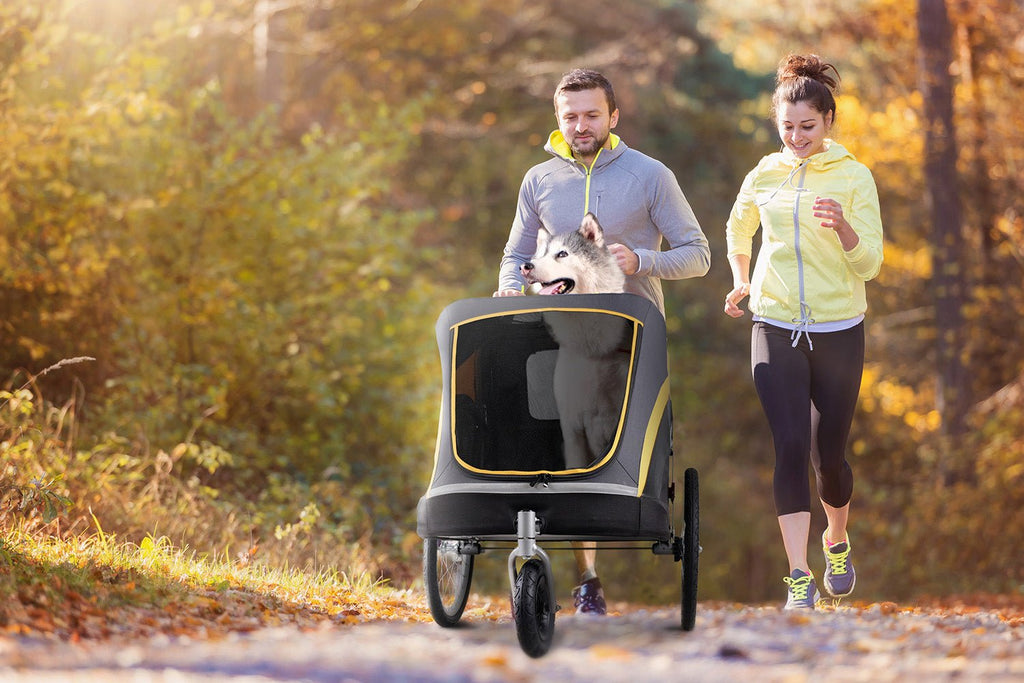 Pet Strollers: Why You Need To Own A Pet Stroller - House Of Pets Delight (HOPD)