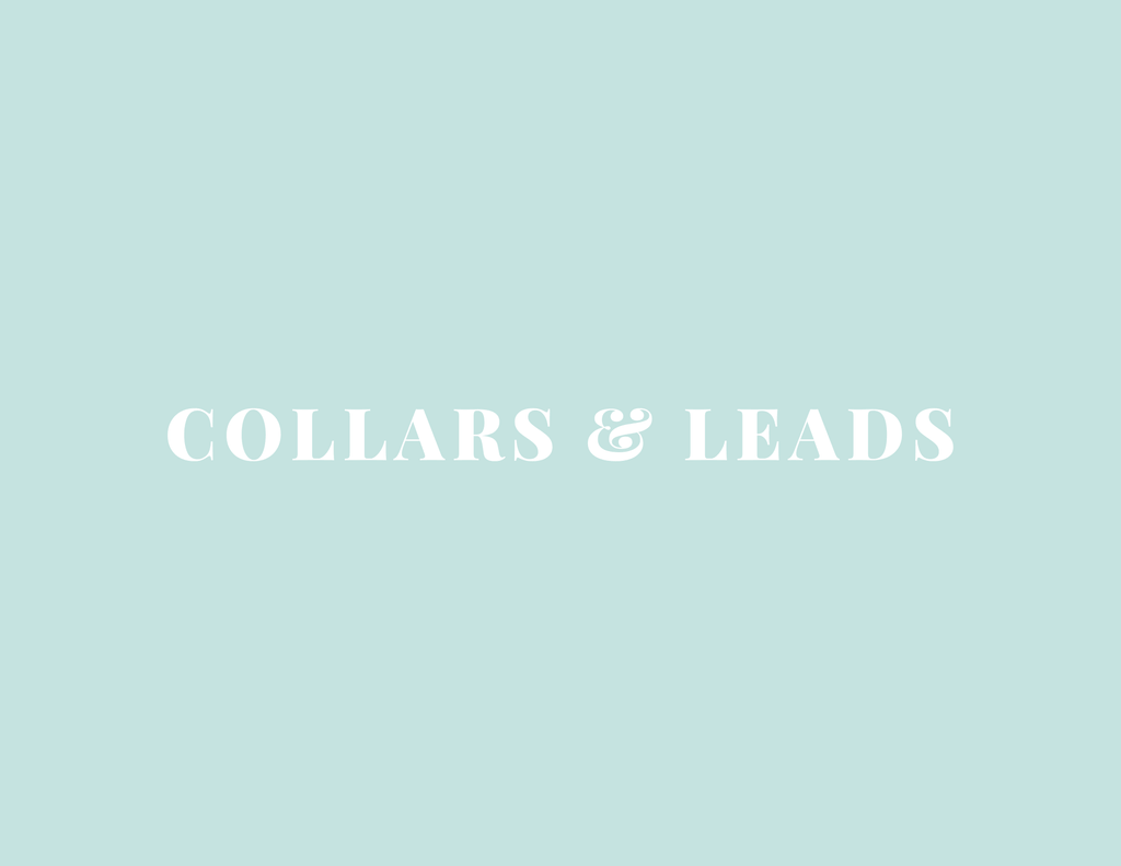 Collars, Harnesses & Leads - House Of Pets Delight (HOPD)