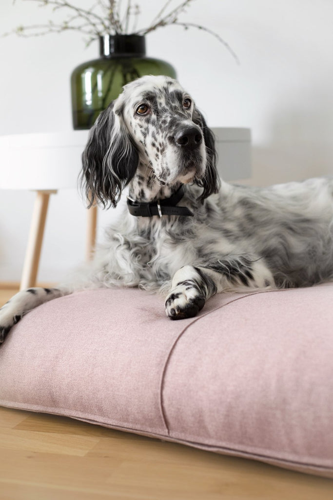 Dog Beds - House Of Pets Delight (HOPD)
