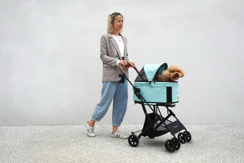 Pet Carriers & Strollers - House Of Pets Delight (HOPD)