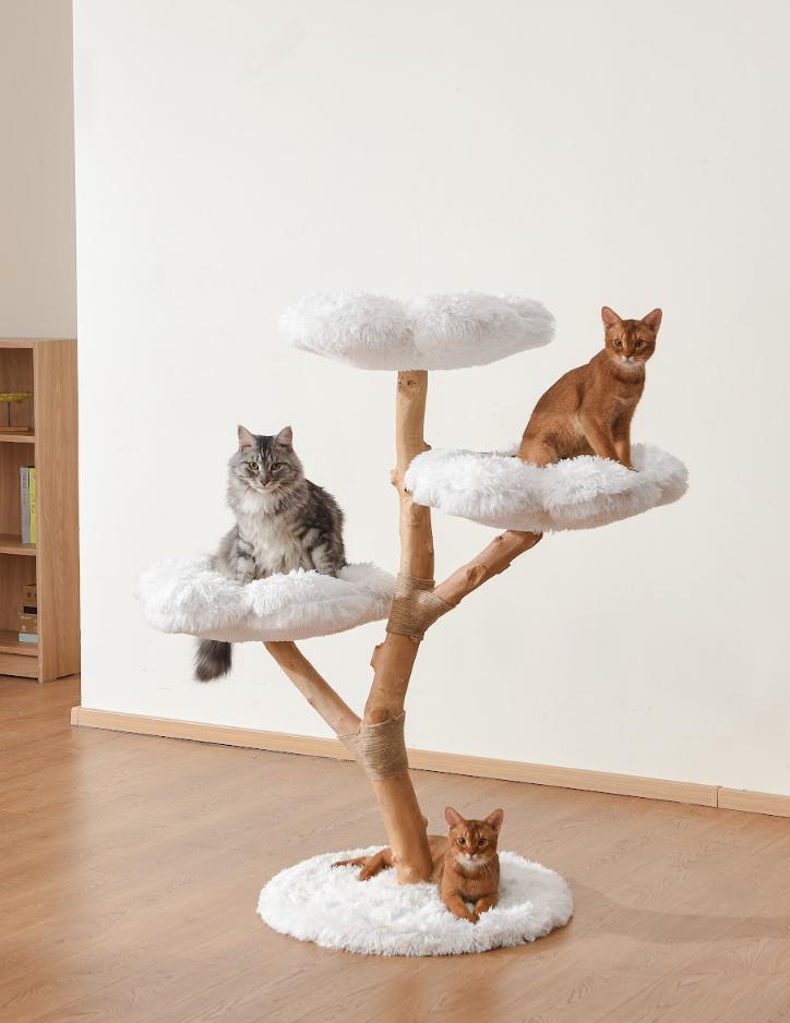 Shop The Cat Collection - House Of Pets Delight (HOPD)