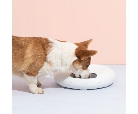 6 Meal Automatic Pet Food Dispenser with Programmable Timer - Blush - House Of Pets Delight (HOPD)