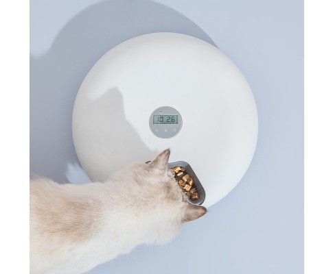 6 Meal Automatic Pet Food Dispenser with Programmable Timer - White - House Of Pets Delight (HOPD)