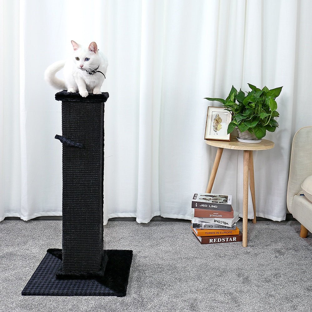 82cm Ultimate Cat Scratching Post in Black - House Of Pets Delight (HOPD)