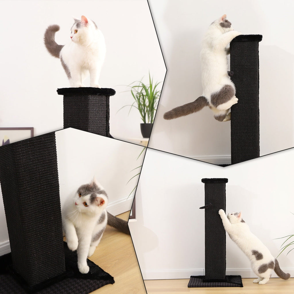 82cm Ultimate Cat Scratching Post in Black - House Of Pets Delight (HOPD)