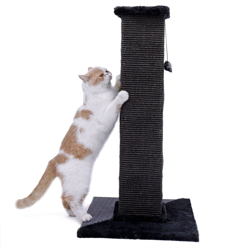 82cm Ultimate Cat Scratching Post in Black - House Of Pets Delight (HOPD)