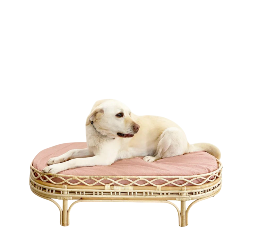 Frankie Rattan Dog Bed