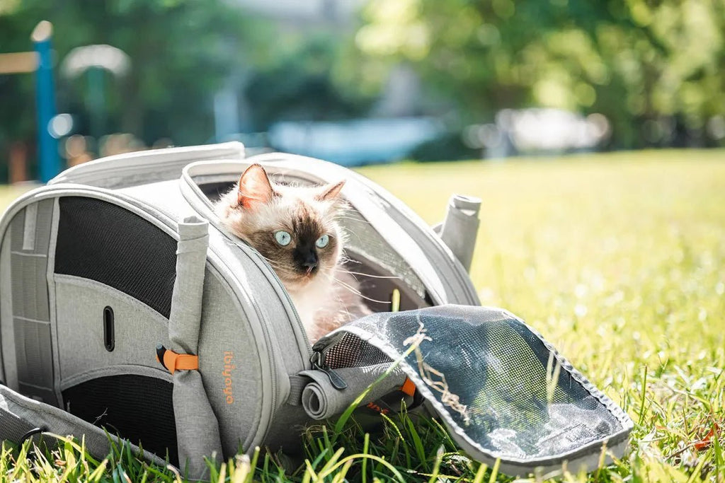 Adventure Cat & Small Dog Carrier Backpack - House Of Pets Delight (HOPD)