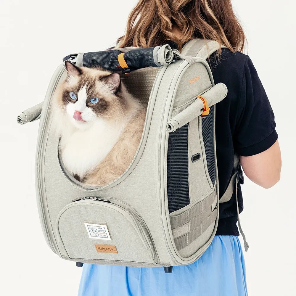 Adventure Cat & Small Dog Carrier Backpack - House Of Pets Delight (HOPD)