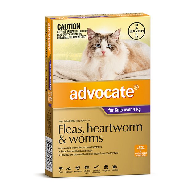 ADVOCATE CAT >4KG PURPLE 6 PACK - House Of Pets Delight (HOPD)