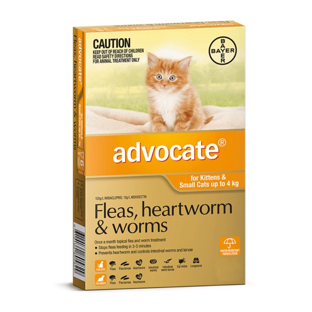 ADVOCATE CAT KITTEN <4KG 6 PACK - House Of Pets Delight (HOPD)