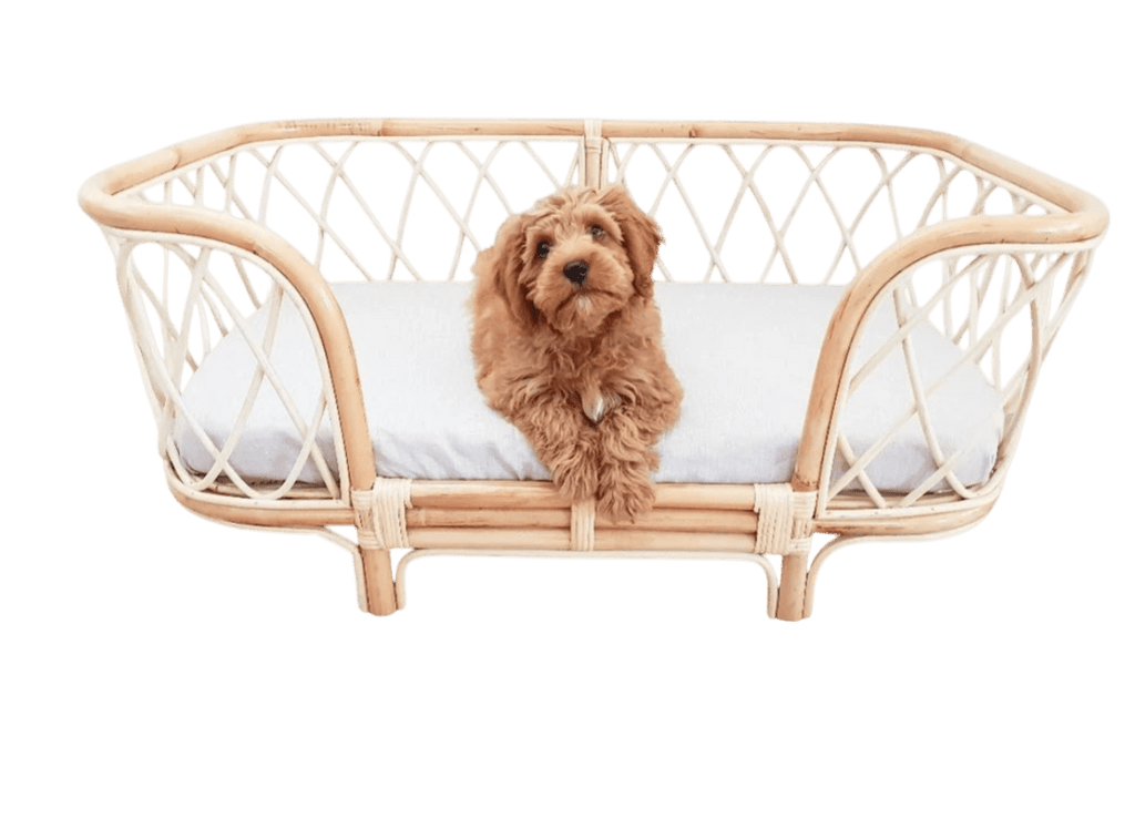 Bella Rattan Dog Bed (2 Sizes) - House Of Pets Delight (HOPD)