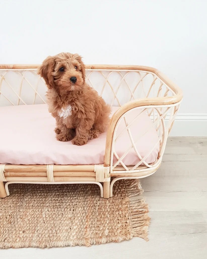 Bella Rattan Dog Bed (2 Sizes) - House Of Pets Delight (HOPD)