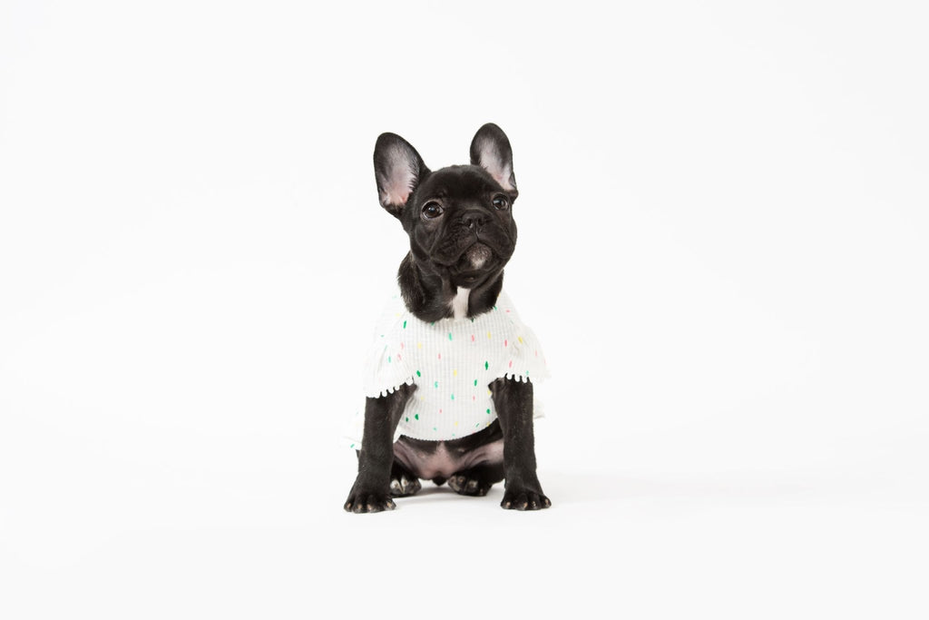 Bohemian Dog Dress - House Of Pets Delight (HOPD)