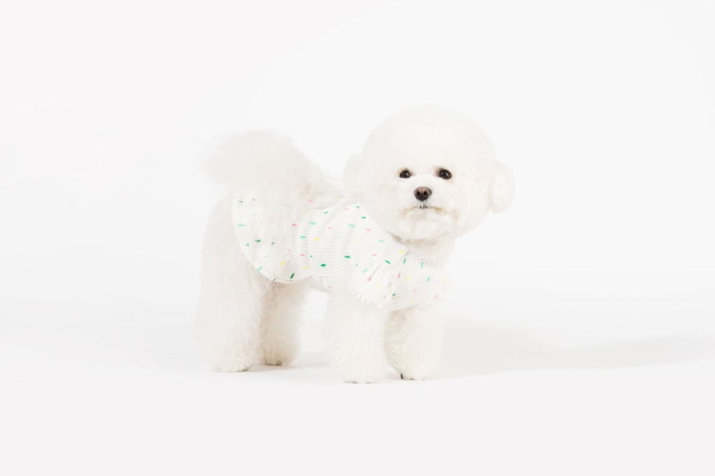 Bohemian Dog Dress - House Of Pets Delight (HOPD)