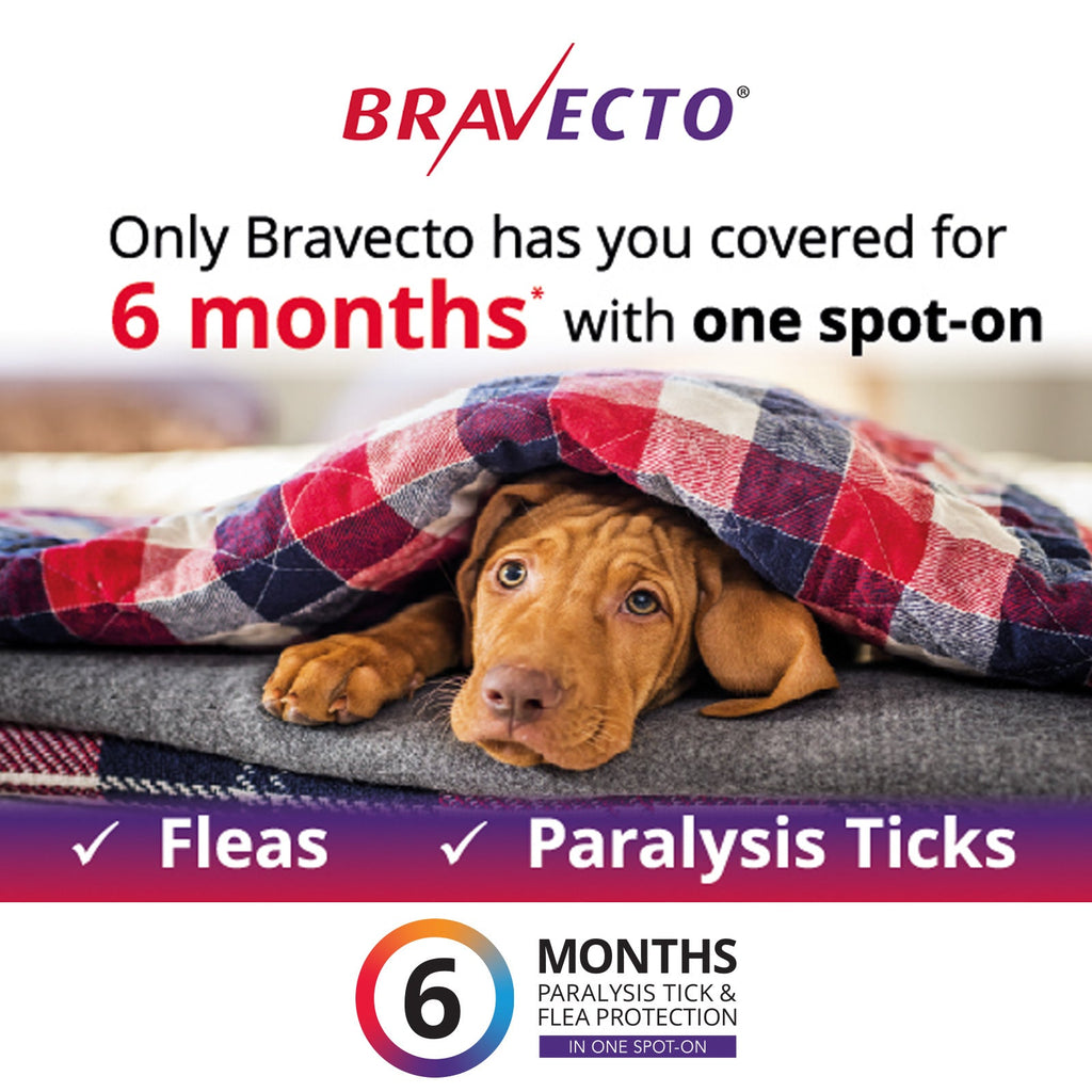 Bravecto Spot On For Dogs Blue 20 - 40kg - House Of Pets Delight (HOPD)