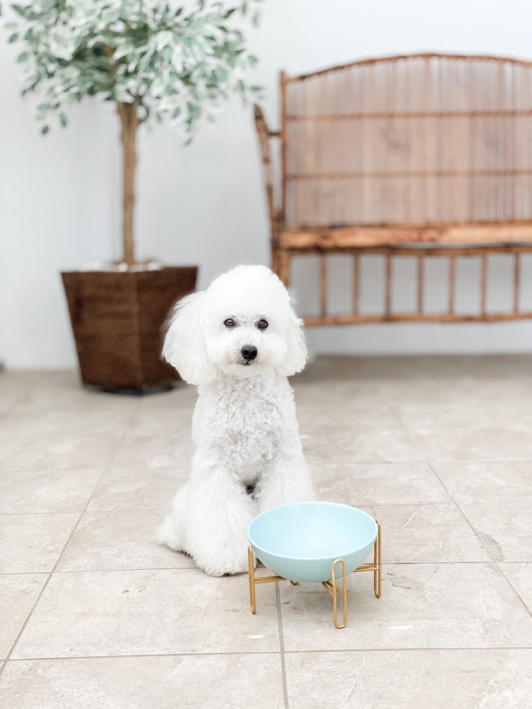 Bronze Stand Ceramic Pet Bowl in Tiffany - House Of Pets Delight (HOPD)