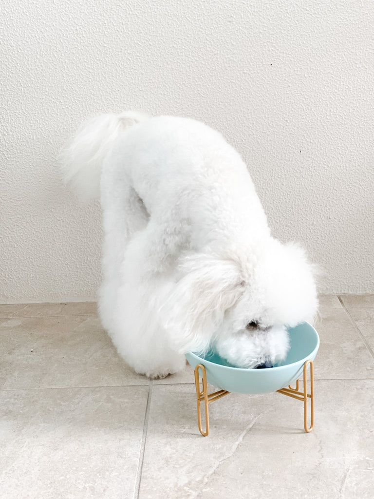 Bronze Stand Ceramic Pet Bowl in Tiffany - House Of Pets Delight (HOPD)