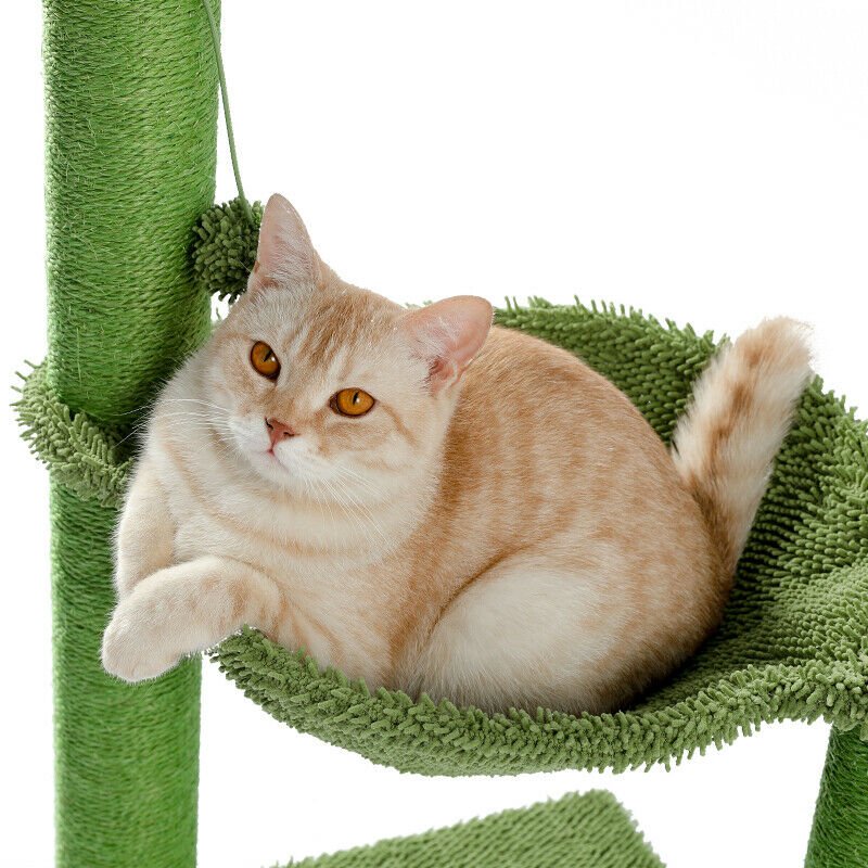 Cactus Hammock Cat Tree Scratcher - House Of Pets Delight (HOPD)