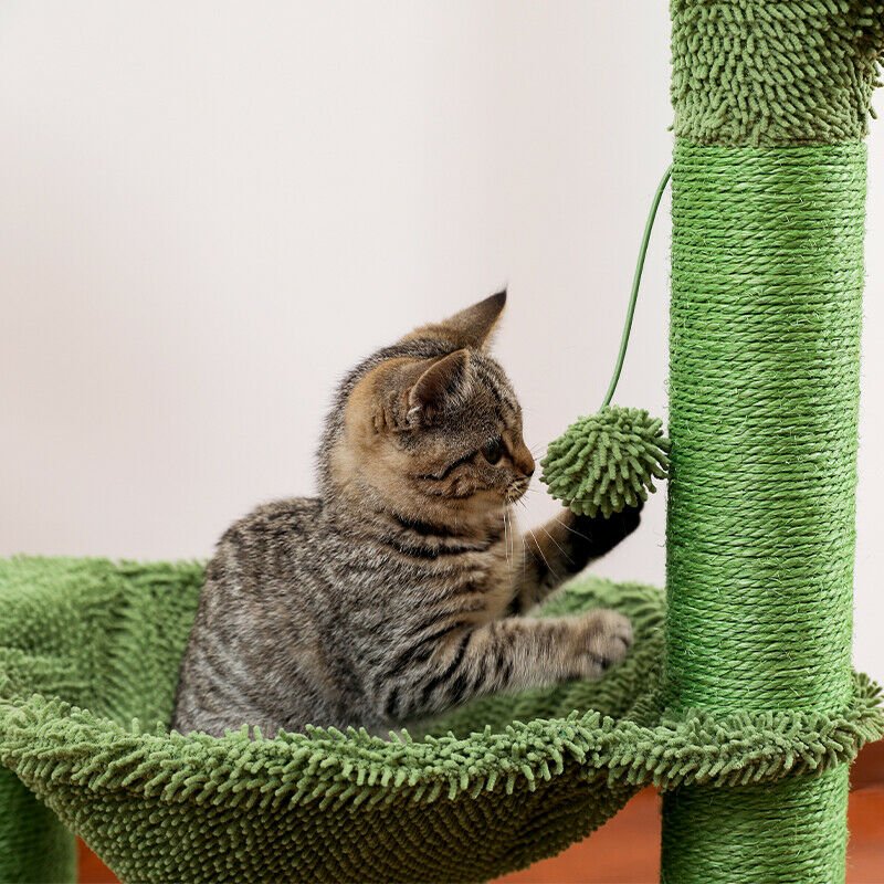 Cactus Hammock Cat Tree Scratcher - House Of Pets Delight (HOPD)