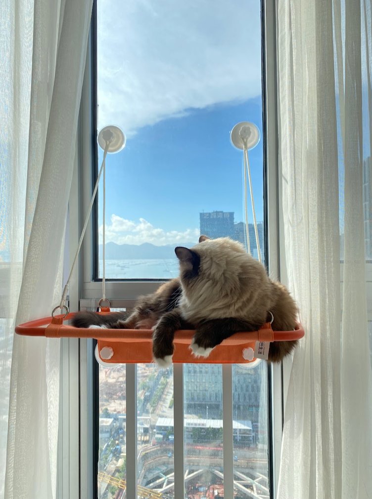 Cat Window Perch, Cat Hammock Window Seat - Orange - House Of Pets Delight (HOPD)