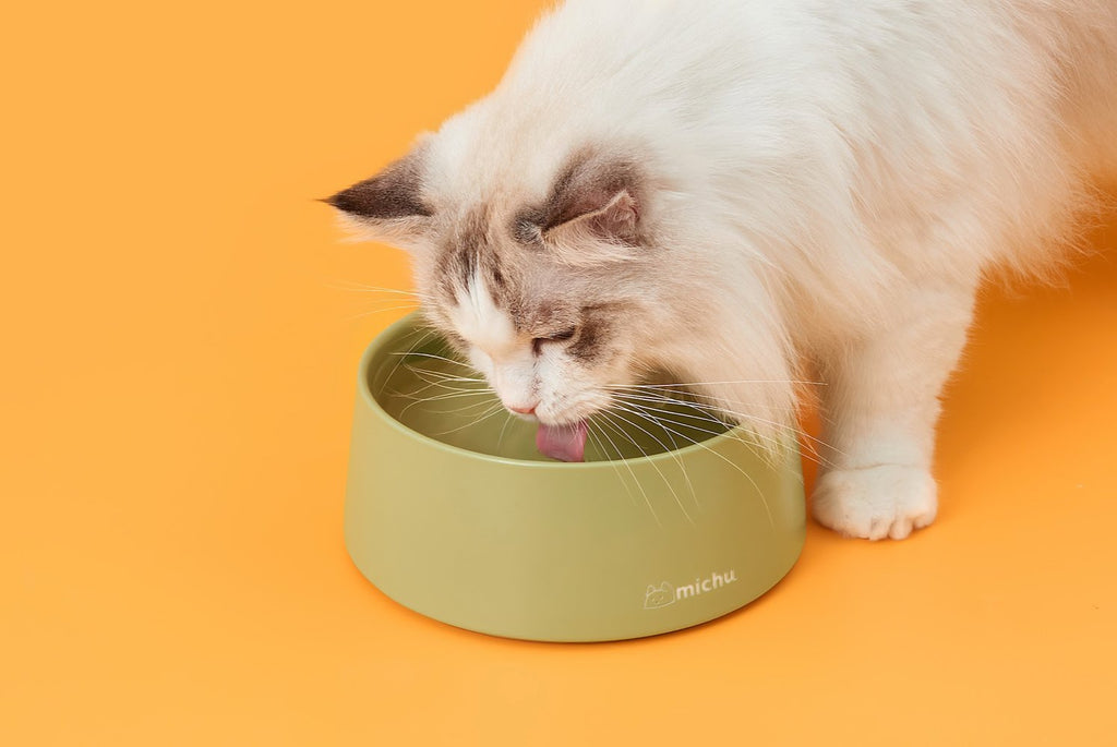Ceramic Bowl for Cats and Dogs in Avocado Green - House Of Pets Delight (HOPD)