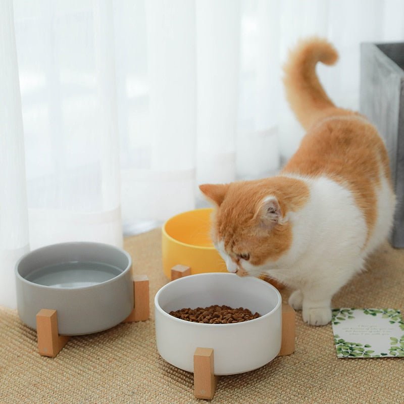 Ceramic Bowl with Wooden Stand in Yellow - House Of Pets Delight (HOPD)