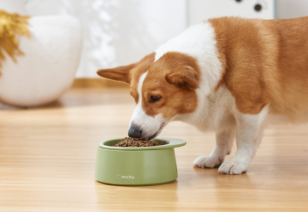 Ceramic Dish Cats and Dogs in Avocado Green - House Of Pets Delight (HOPD)