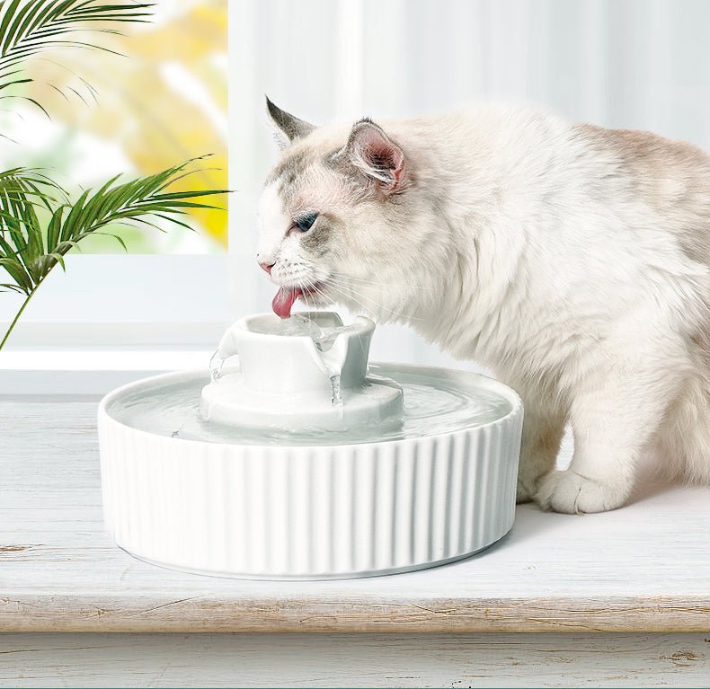 Ceramic Electric Pet Water Fountain 2.1L - House Of Pets Delight (HOPD)