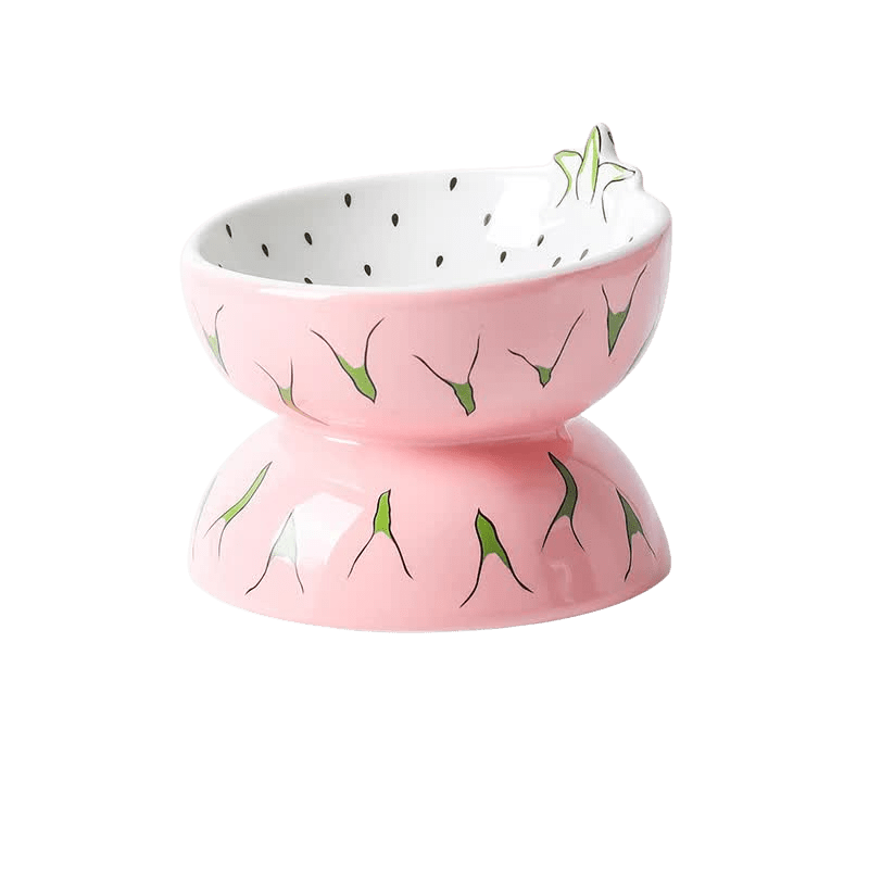 Ceramic Elevated Pet Food Bowl - Pitaya - House Of Pets Delight (HOPD)