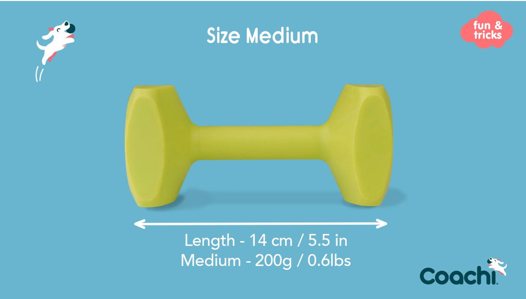 Coachi – Training Dumbbell - House Of Pets Delight (HOPD)