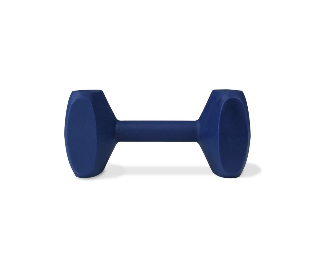 Coachi – Training Dumbbell - House Of Pets Delight (HOPD)