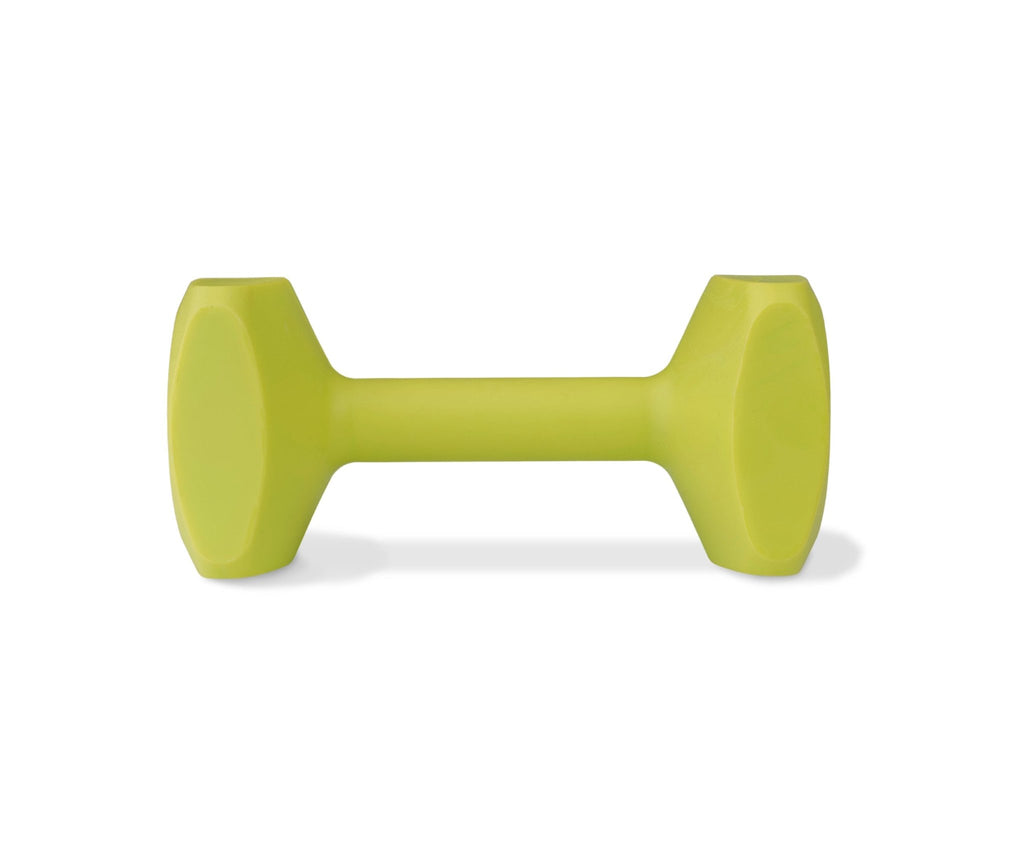 Coachi – Training Dumbbell - House Of Pets Delight (HOPD)