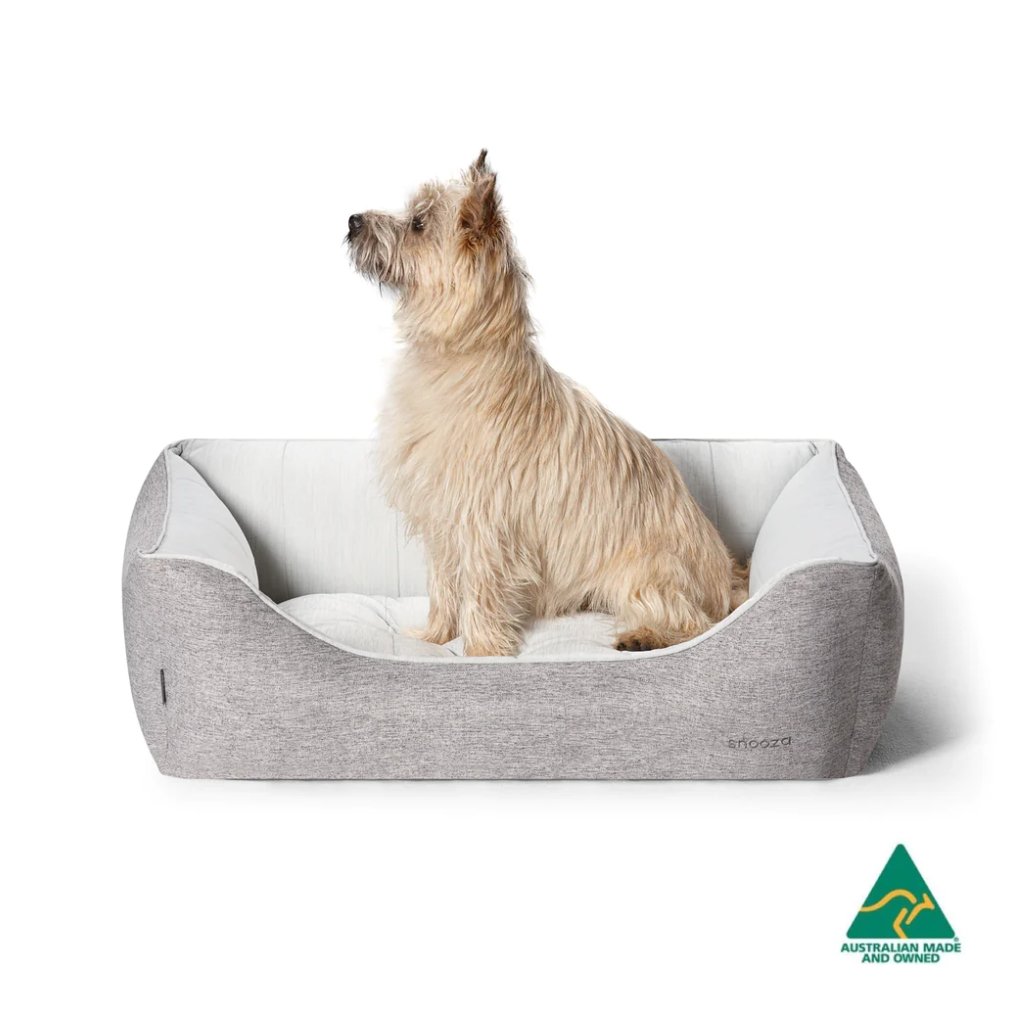 Cooling Comfort Low Front Lounger Dog Bed - House Of Pets Delight (HOPD)