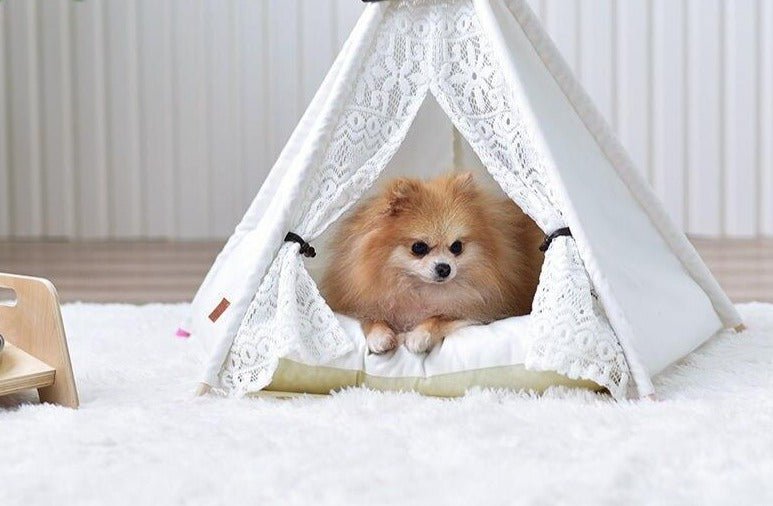 Crochet Pet Teepee With Cushion - House Of Pets Delight (HOPD)