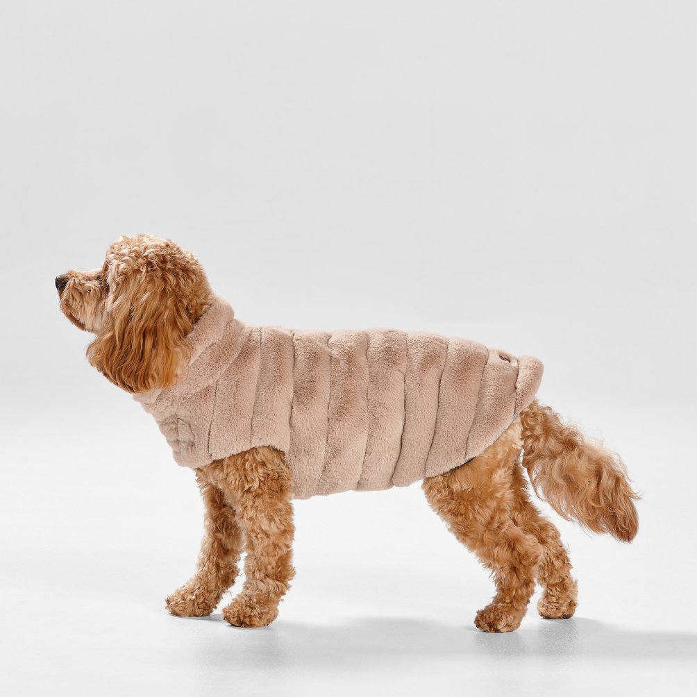 Cut Faux Fur Dog Coat in Almond - House Of Pets Delight (HOPD)