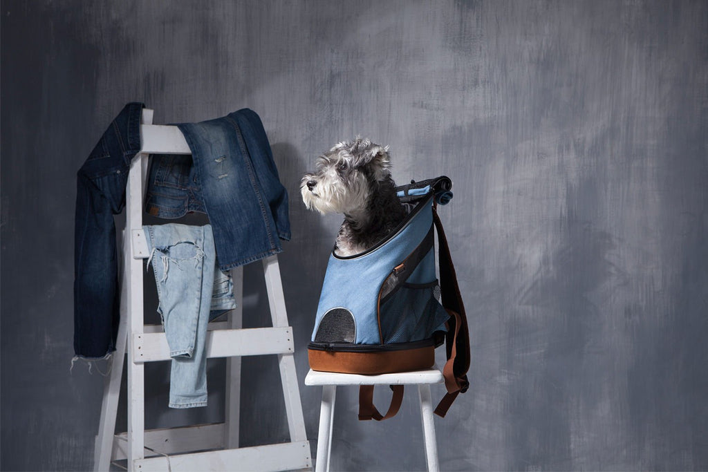 Denim Fun Lightweight Pet Backpack - House Of Pets Delight (HOPD)