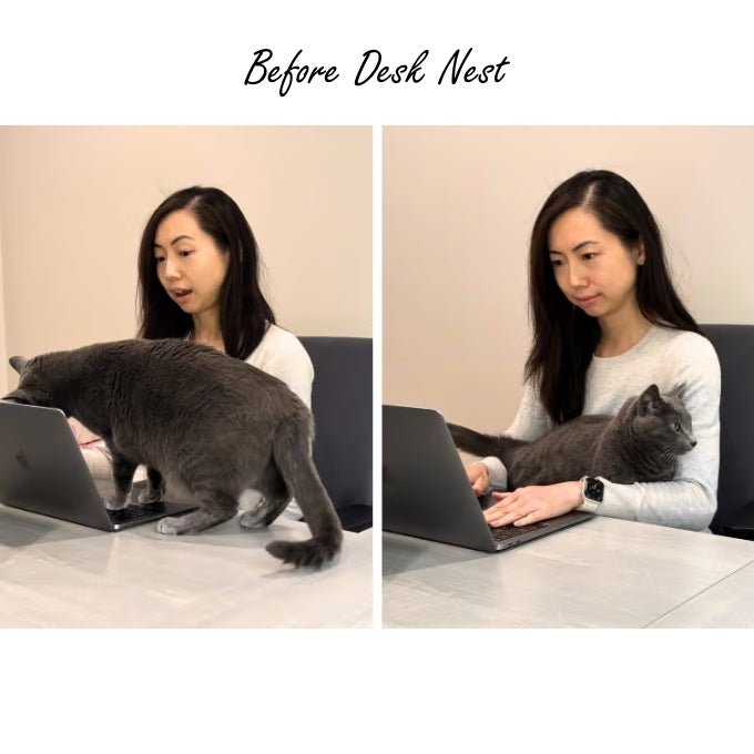 Desk Nest Cat Bed - The Purrfect Cat Bed for Your Desk - House Of Pets Delight (HOPD)