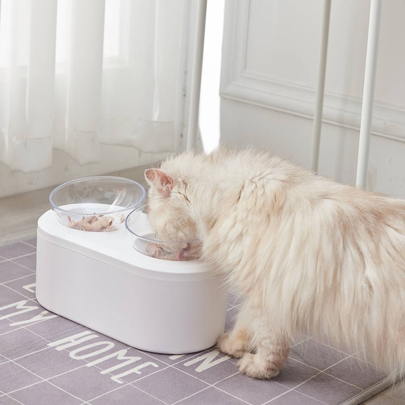 Double Pet Bowl Feeder with Storage Space - House Of Pets Delight (HOPD)