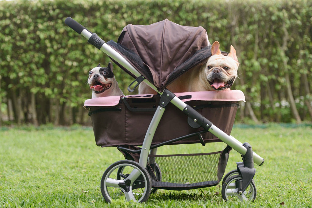 Elegant Retro I Dog Stroller - Brown Pink - House Of Pets Delight (HOPD)