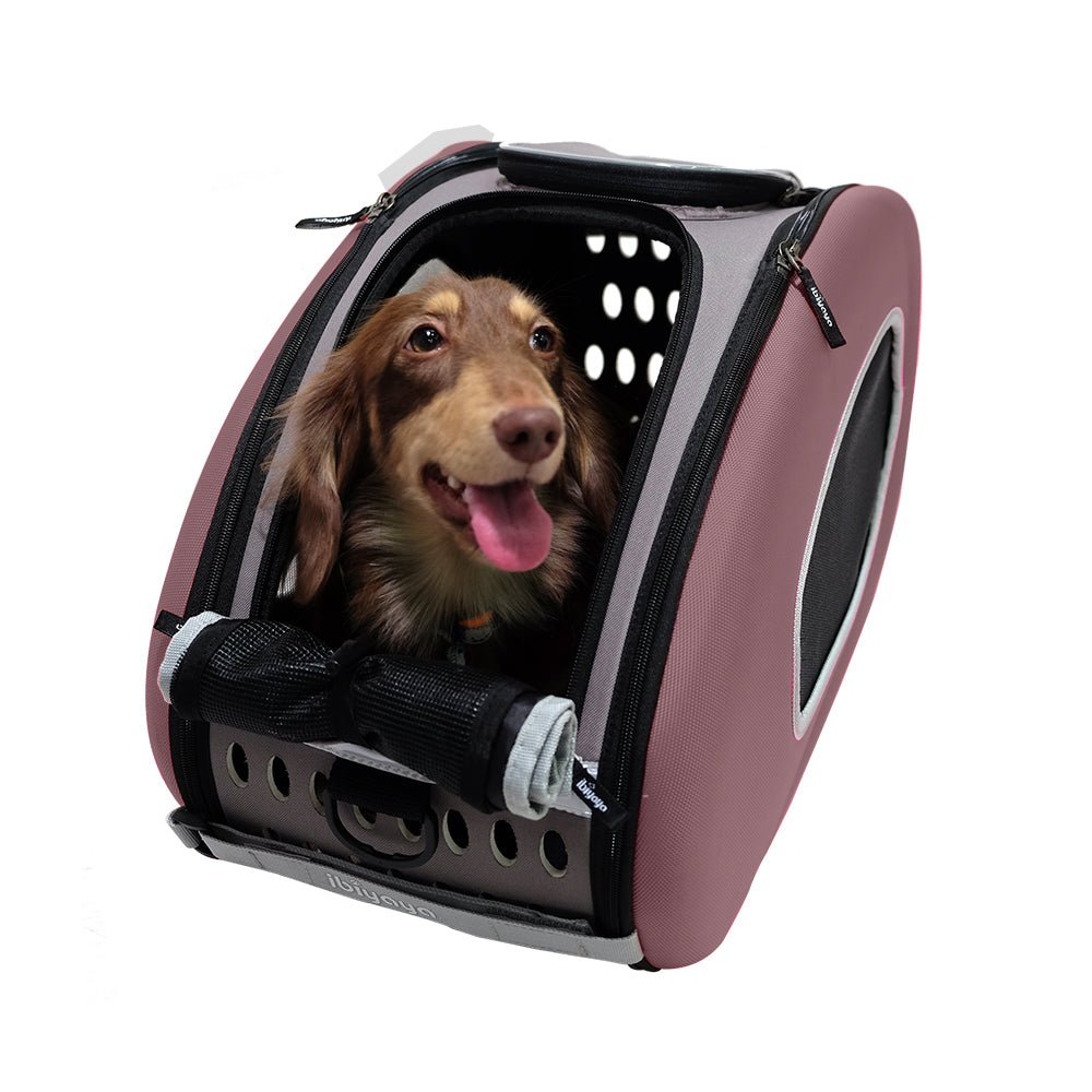 Eva Pet Wheeled Multifunctional Carrier - Chocolate - House Of Pets Delight (HOPD)