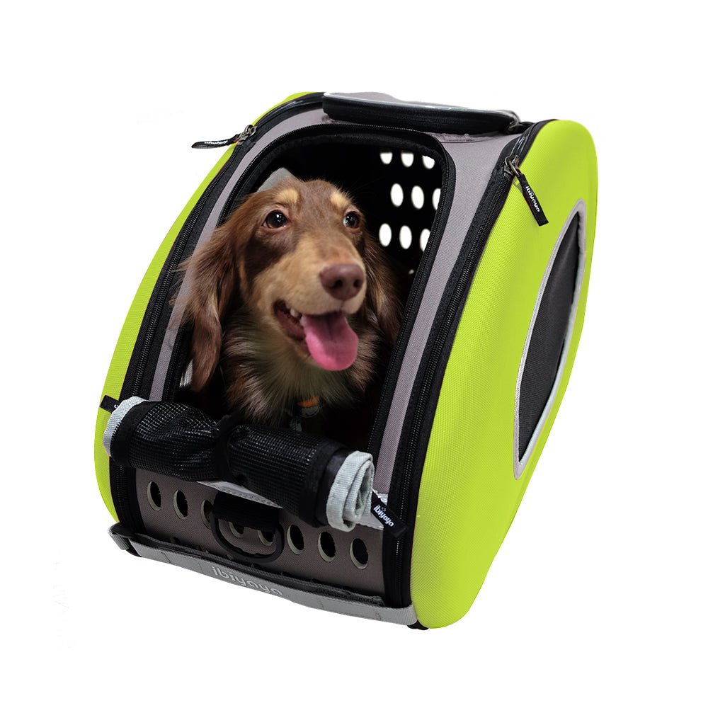 Eva Pet Wheeled Multifunctional Carrier - Chocolate - House Of Pets Delight (HOPD)