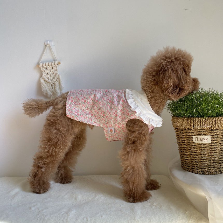 Floral Bohemian Dog Dress - House Of Pets Delight (HOPD)