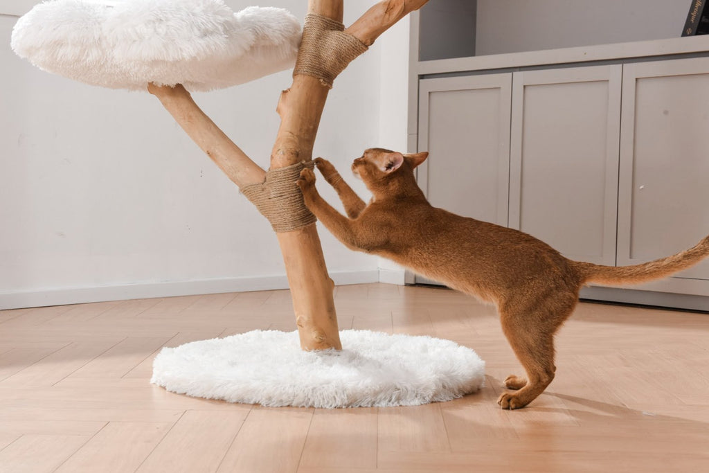 Fluffy Blossom Real Wood Cat Tree XL - White - House Of Pets Delight (HOPD)