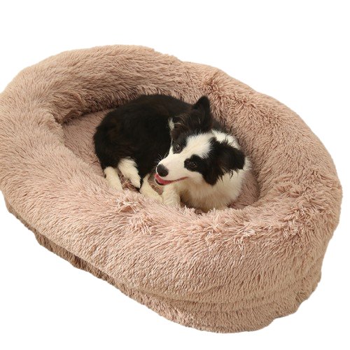 Fluffy Oval - Shaped Pet Bed - Beige - House Of Pets Delight (HOPD)