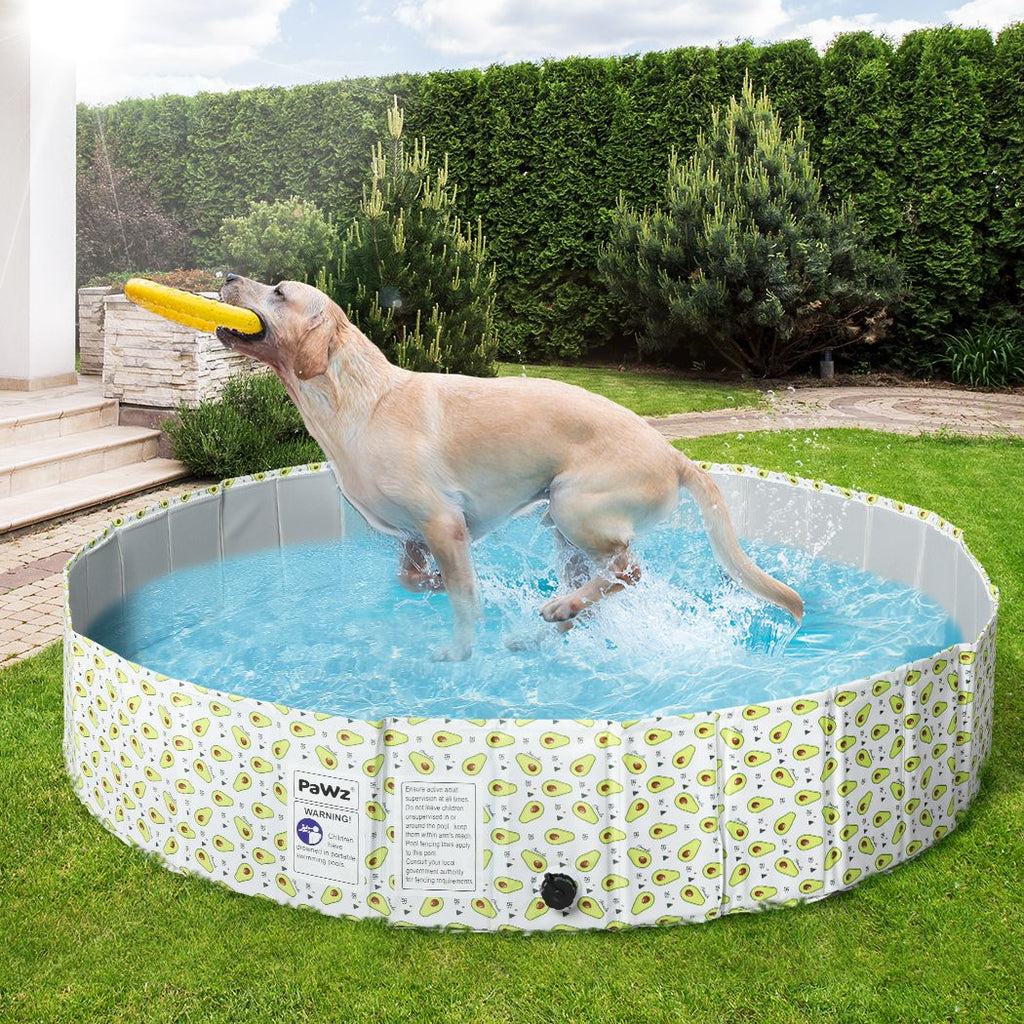 Foldable Pet Swimming Pool in Avocado Print (Various Sizes) - House Of Pets Delight (HOPD)