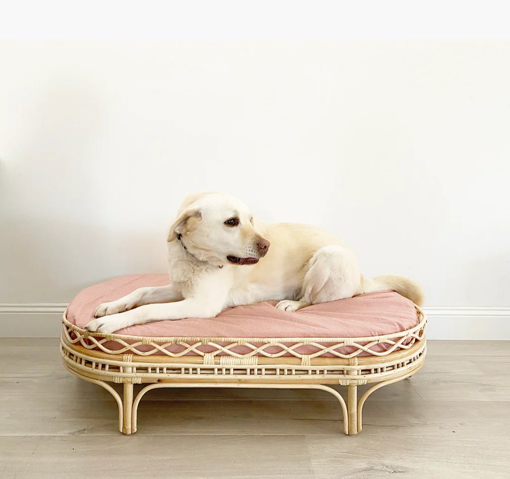 Frankie Dog Bed - House Of Pets Delight (HOPD)