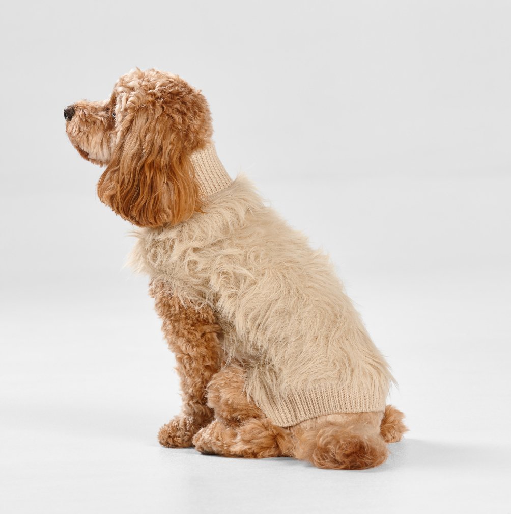 Fur Knit Jumper – Ecru - House Of Pets Delight (HOPD)