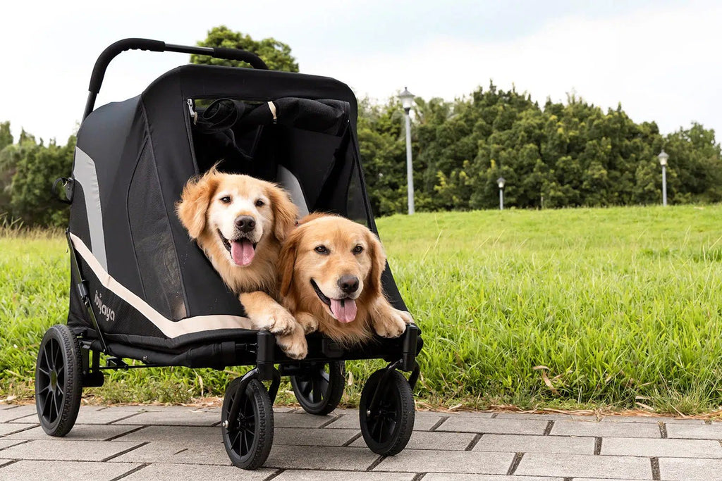 Grand Cruiser Large Dog Stroller, 4 - Wheel Foldable Big Dog Pram for Large Breeds, Elderly & Injured Pets - House Of Pets Delight (HOPD)